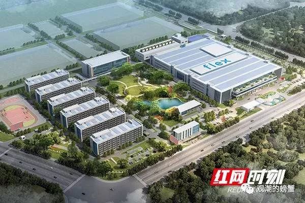 长沙市望城区最新招聘动态及其社会影响分析